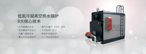 了解低氮锅炉的运行时的保护措施