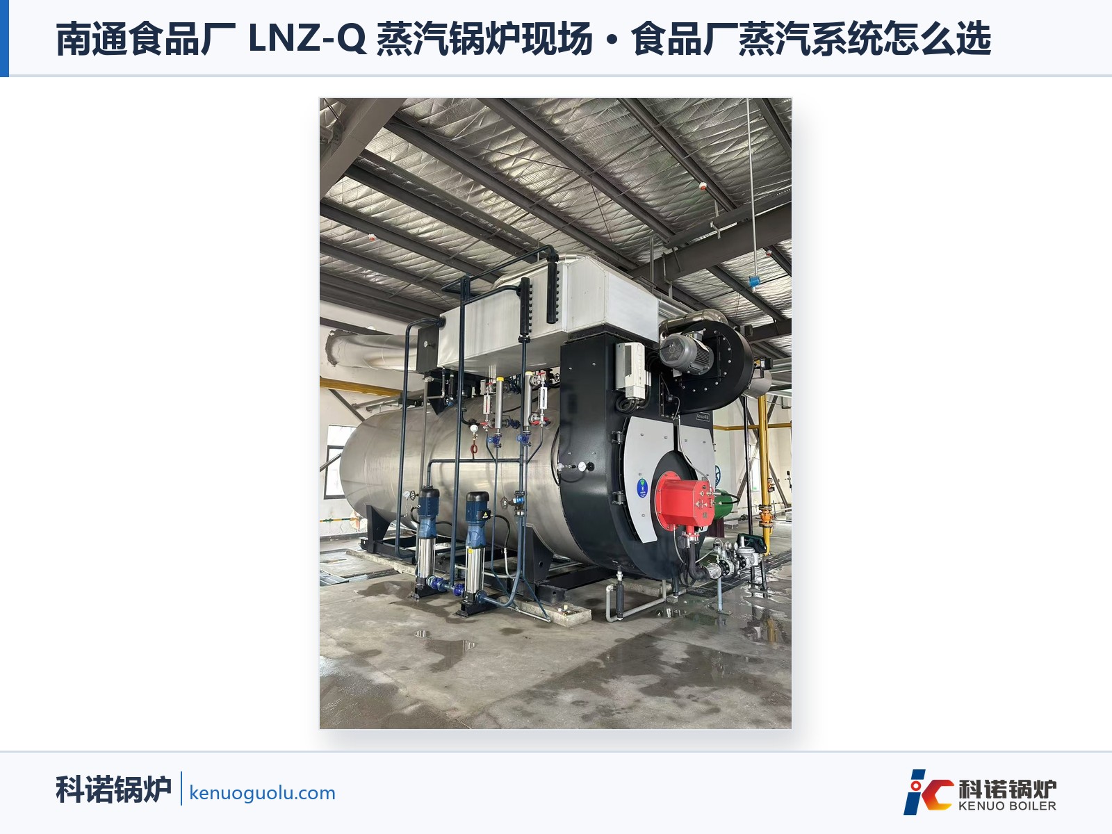 南通食品厂 LNZ-Q 蒸汽锅炉现场