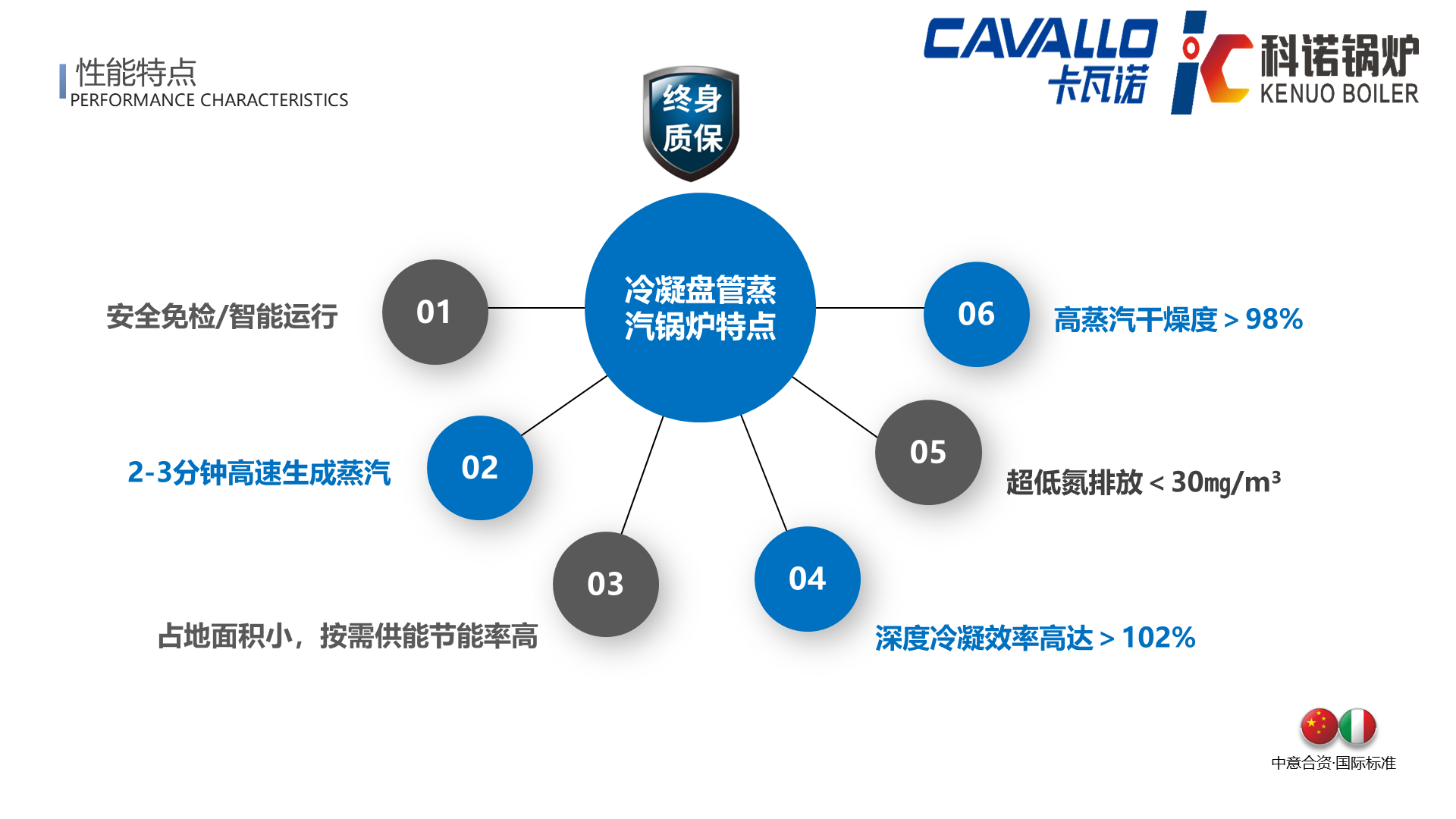 CAVALLO超低氮冷凝盘管蒸汽锅炉(免检50L)-详情5