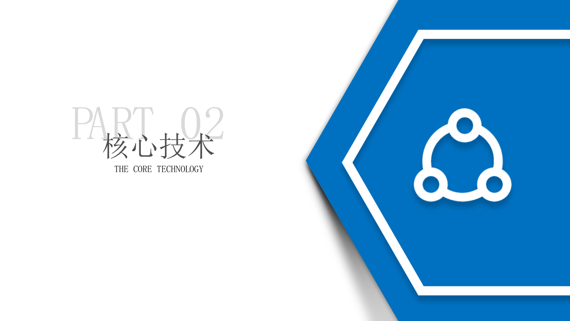 DZ系列集成式生物质蒸汽锅炉-详情11