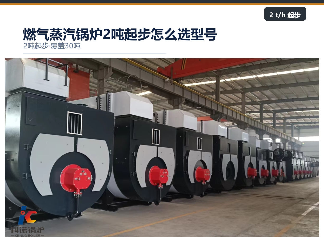 燃气蒸汽锅炉2吨起步怎么选型号