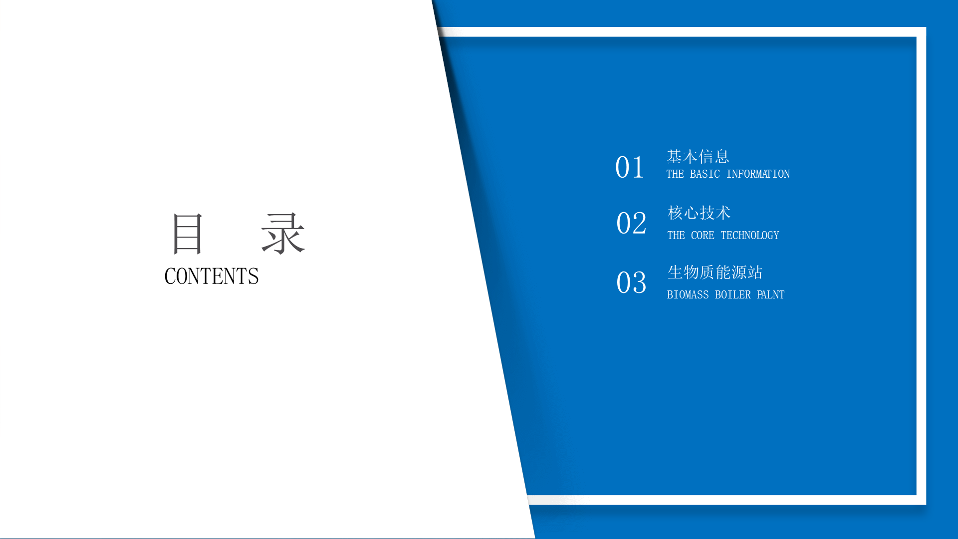 DZ系列集成式生物质蒸汽锅炉-详情2