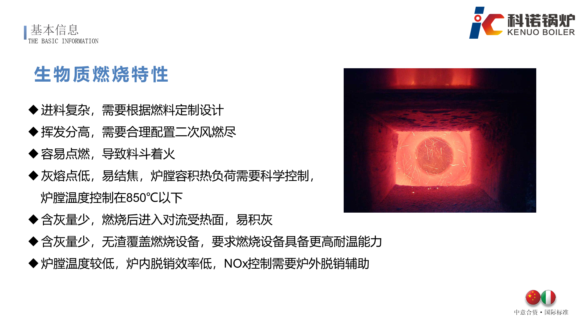 WWS-T系列半气化生物质蒸汽锅炉-详情6
